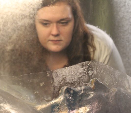 New work by Mellissa Monsoon explores invisible symptoms at Phoenix Arts Space-Brighton