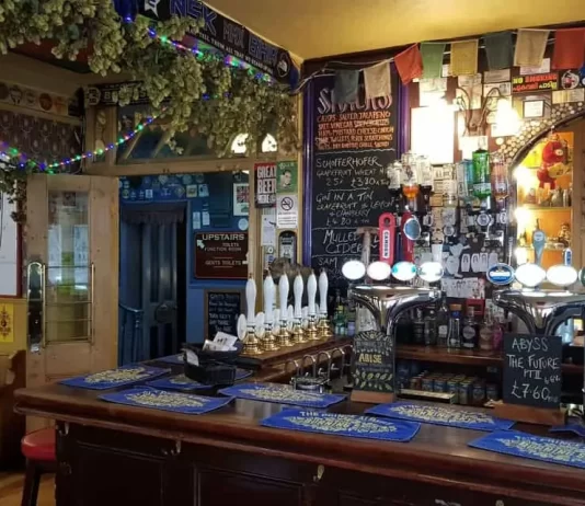 A petition aimed at preserving the Prince Albert pub in Brighton has been officially launched