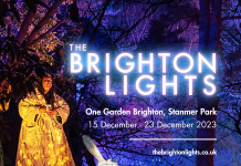 The Brighton Lights – Brighton’s First Winter Light Show Selling Out Fast