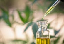 Travelling with CBD in the UK and Brighton : What You Need to Know