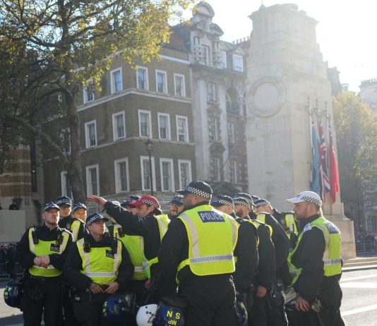 Palestine march: why some opponents are politicising the Cenotaph to sow divisions