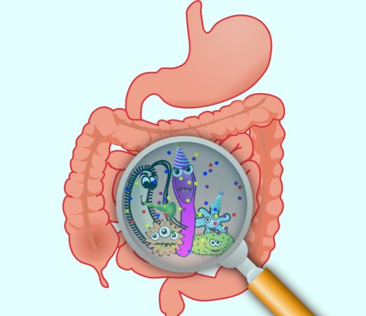 Why You Dont Know About How Close Your Gut Microbiome and Heart Are