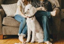 Brighton-based TrustedHousesitters finds new $100m home at Mayfair Equity Partners