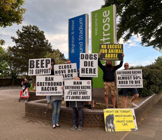 Activist group protested against alleged animal abuse at Coral Greyhound Stadium on Saturday