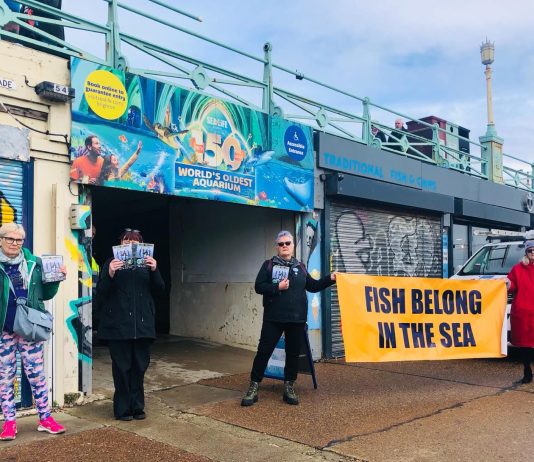 Animal activists protested against captivity outside SEA LIFE Brighton on Saturday
