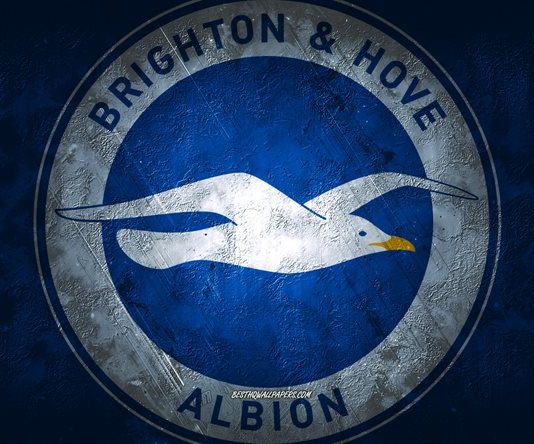 Match Report of Brightons One All Draw with Everton Saturday 24rth