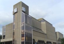Brighton Green councillors criticise Labour’s recent claim that £60 million pavement bill is due to weeds