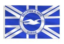 Brighton V Arsenal Match Report