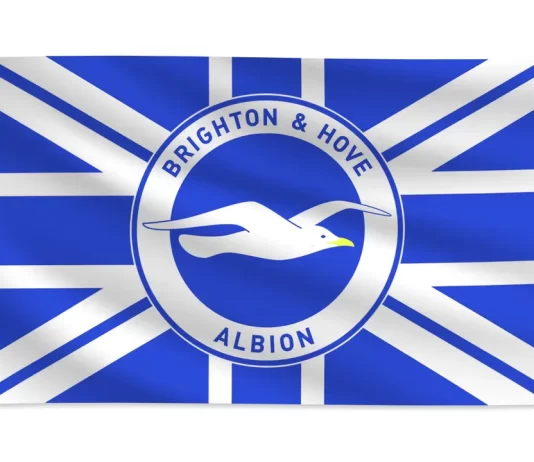 Brighton and Hove FC V Tottenham Hotspur Match report