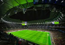 Brighton & Hove Albion FC V Tottenham Preview