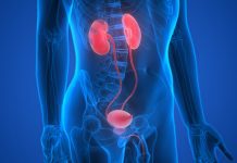 Urological Health in Aging: Prevention and Management Strategies for Seniors