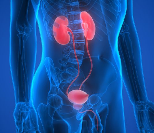 Urological Health in Aging: Prevention and Management Strategies for Seniors