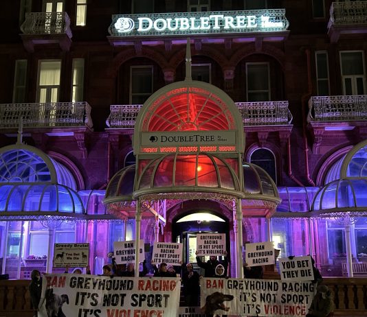 Animal activists protested against greyhound racing awards event outside Brighton Hilton on Sunday