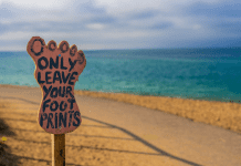 The Looming Threat: A Look at Global Sustainability Statistics in 2024