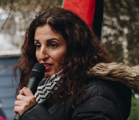 Pro-Palestine campaigner will stand against Hove MP Peter Kyle in the next general election