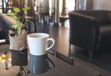 Local Boost for businesses as cafés and pubs increase in Newhaven