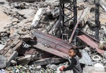 Weekend Feature- Gaza and the year of satellite images to map the scale of agricultural destruction