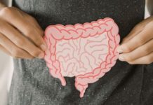 Effective Strategies For Gut Health Improvement by Dr Alan Desmond