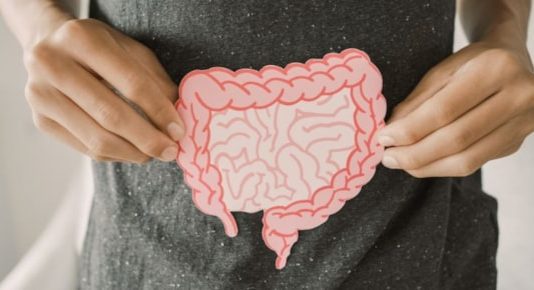 Effective Strategies For Gut Health Improvement by Dr Alan Desmond