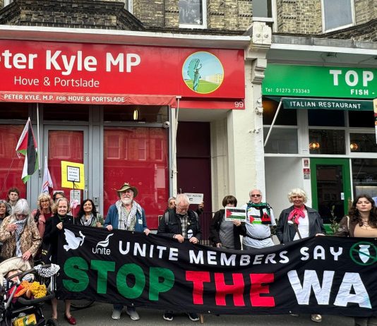 Pro-Palestine activists to target voters with Hove Town Hall protest