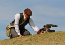 Newhaven Fort unveils 2025 events calendar following £7.5m restoration