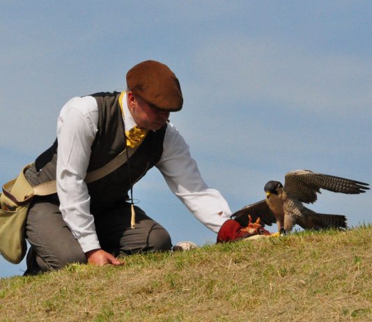 Newhaven Fort unveils 2025 events calendar following £7.5m restoration