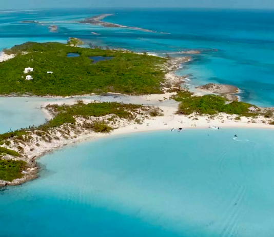 Weekend Feature -Fyre Festival II: will people fall for it twice?