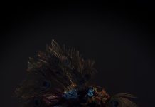 Kiri Pritchard-Mclean brings Peacock to Brighton