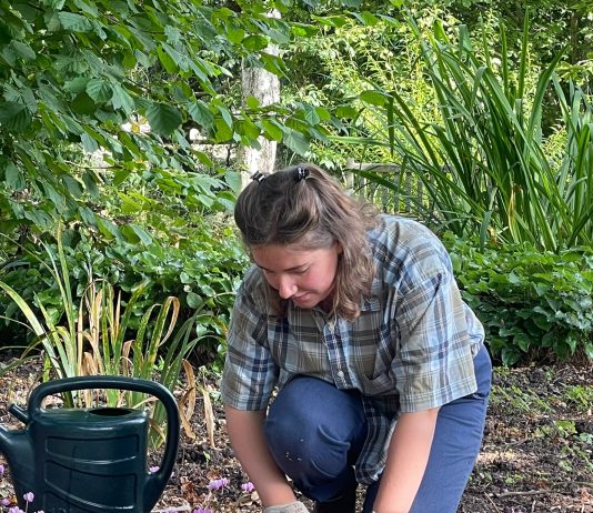 Brighton gardener wins BBC award