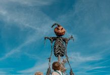Spectacular spooky family fun at Brighton & Hove Museums this Halloween