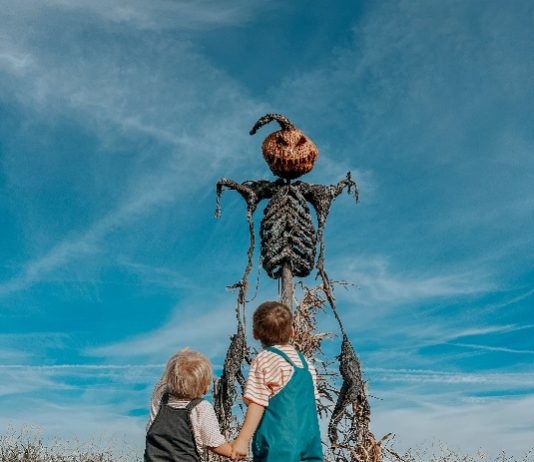 Spectacular spooky family fun at Brighton & Hove Museums this Halloween