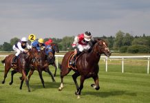 Sussex Moore Team Bidding for Strong Finish To 2024 Flat Season