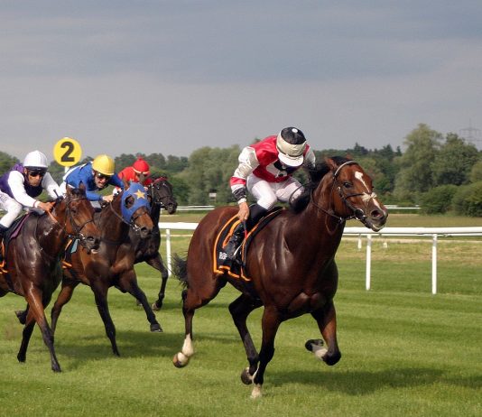 Sussex Moore Team Bidding for Strong Finish To 2024 Flat Season