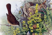 POETRY RECORDINGS BY BIRDSONG CAST RELEASED AT THEATRE ROYAL
