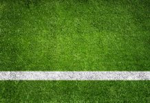 Robotic Line Marking: The Cutting-Edge Approach Reshaping Brighton’s Grounds