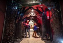 Vanishing Forest’ immersive art installation unveiled at Brighton Museum