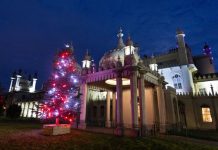 Christmas sparkles at the Royal Pavilion with stunning festive trees