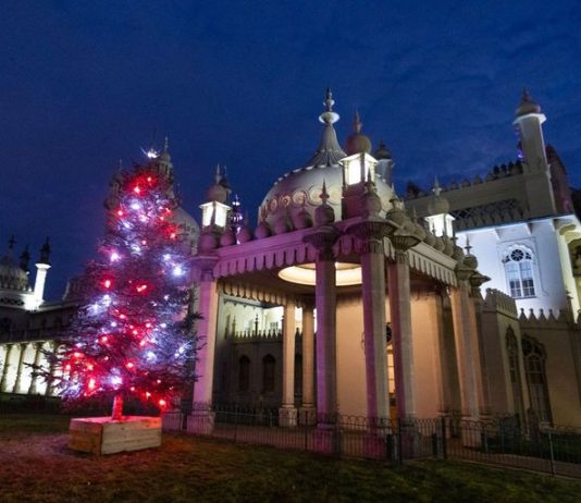 Christmas sparkles at the Royal Pavilion with stunning festive trees