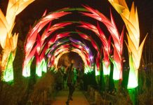 Brighton This Weekend: Where Culture Meets Adventure
