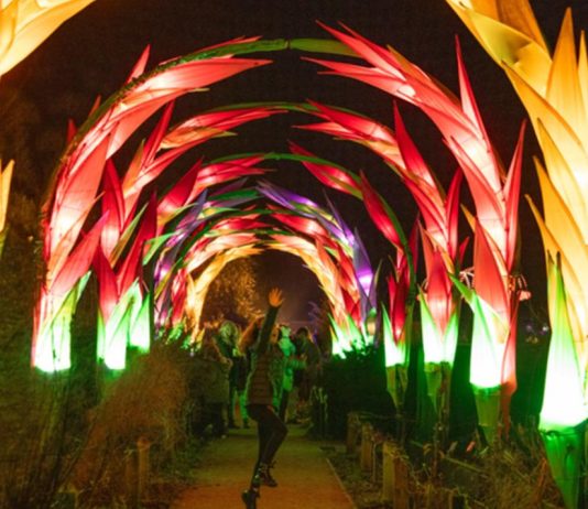 Brighton This Weekend: Where Culture Meets Adventure