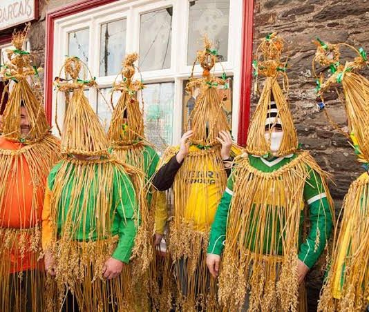Culture-Wren’s day: an old Irish tradition that survives today