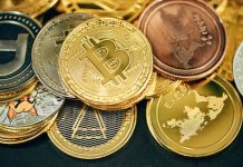 The Rise of Crypto in Brighton: What Locals Are Using It For Online