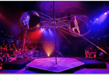 BIRDS OF A FEATHER A high-flying circus adventure about friendship, failure, and finding your wings.