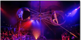 BIRDS OF A FEATHER Â A high-flying circus adventure about friendship, failure, and finding your wings. Â Â