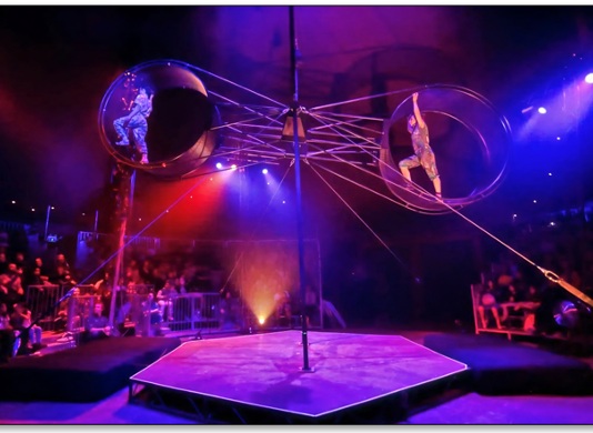 BIRDS OF A FEATHER A high-flying circus adventure about friendship, failure, and finding your wings.