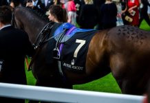 Royal Ascot: Early favourites for the Queen Anne Stakes