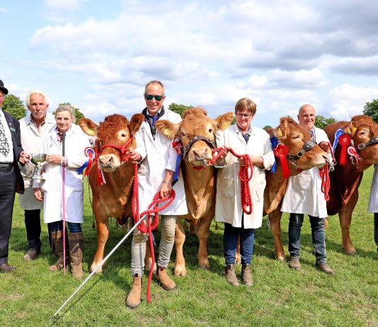 Crowds turn out for 2025 South of England Show