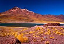5 Things to Know Before Your Atacama Desert Visit
