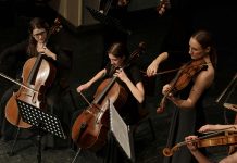 A Guide to Discounted Entertainment in Brighton in 2025