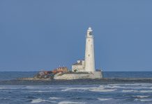The Ultimate Guide for Visiting Litchfield